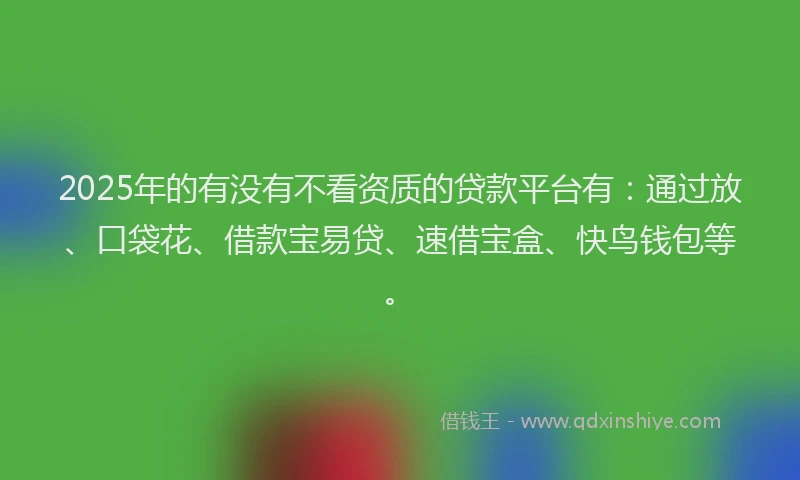 2025年的有没有不看资质的贷款平台有：通过放、口袋花、借款宝易贷、速借宝盒、快鸟钱包等。