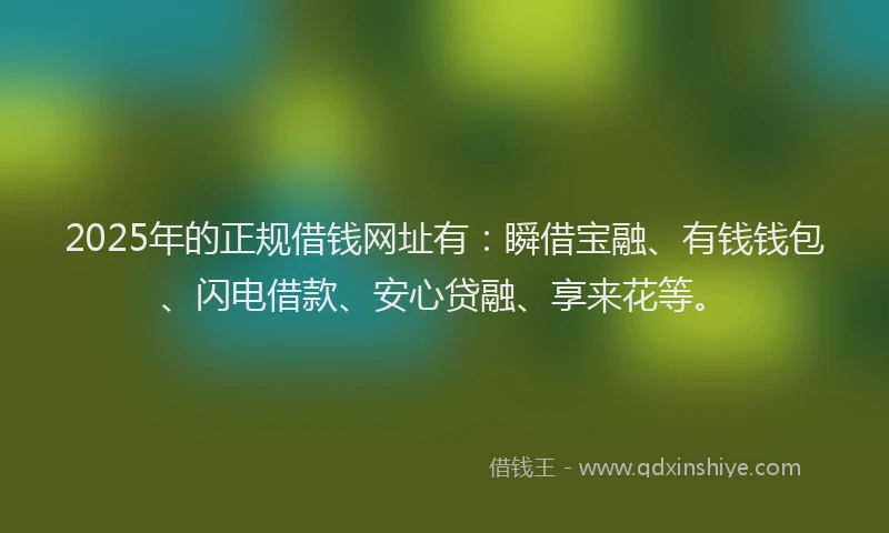 2025年的正规借钱网址有：瞬借宝融、有钱钱包、闪电借款、安心贷融、享来花等。
