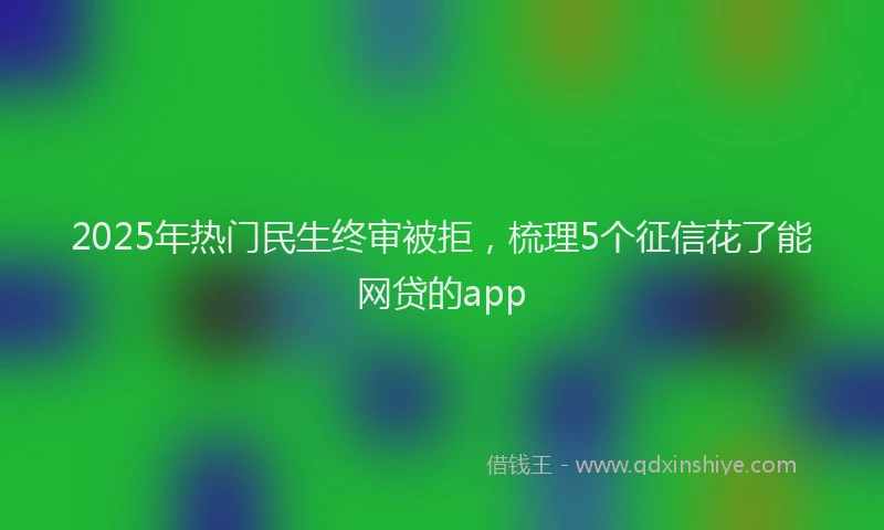 2025年热门民生终审被拒，梳理5个征信花了能网贷的app