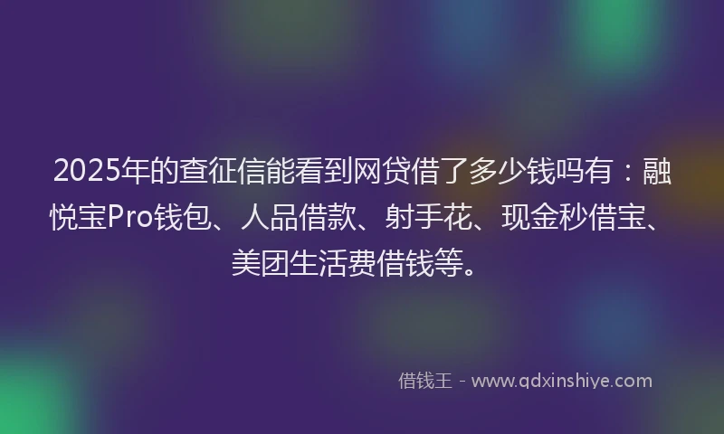 2025年的查征信能看到网贷借了多少钱吗有：融悦宝Pro钱包、人品借款、射手花、现金秒借宝、美团生活费借钱等。