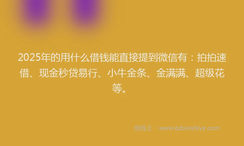 2025年的用什么借钱能直接提到微信有：拍拍速借、现金秒贷易行、小牛金条、金满满、超级花等。