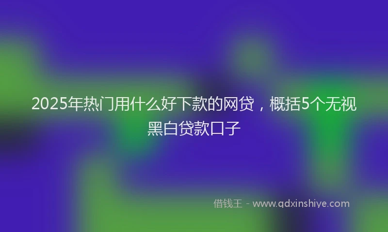 2025年热门用什么好下款的网贷，概括5个无视黑白贷款口子