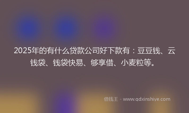 2025年的有什么贷款公司好下款有：豆豆钱、云钱袋、钱袋快易、够享借、小麦粒等。