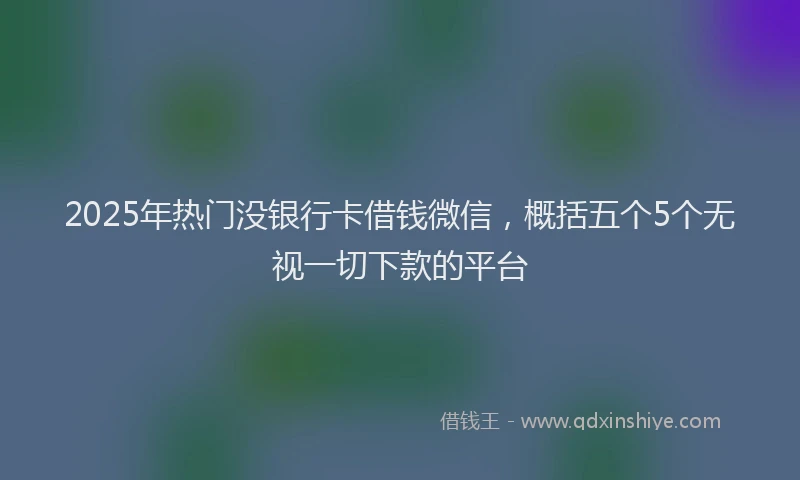 2025年热门没银行卡借钱微信，概括五个5个无视一切下款的平台