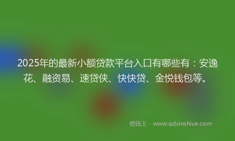 2025年的最新小额贷款平台入口有哪些有：安逸花、融资易、速贷侠、快快贷、金悦钱包等。