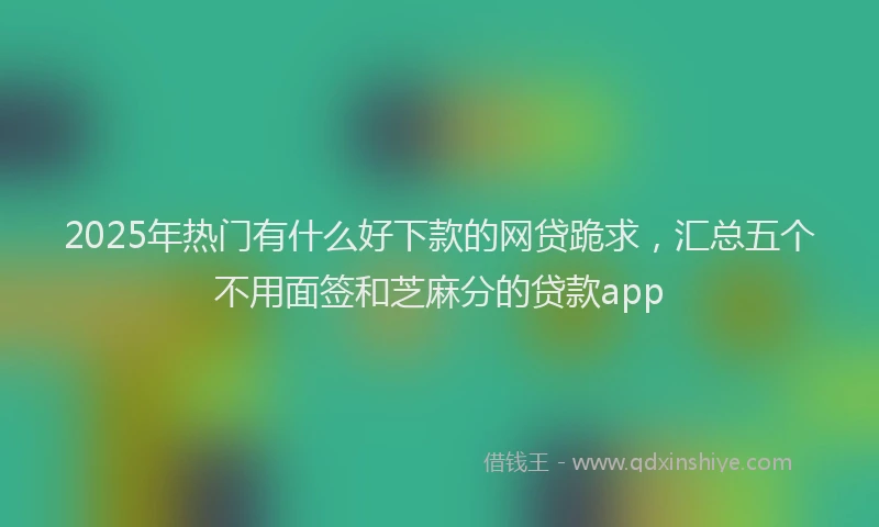 2025年热门有什么好下款的网贷跪求，汇总五个不用面签和芝麻分的贷款app