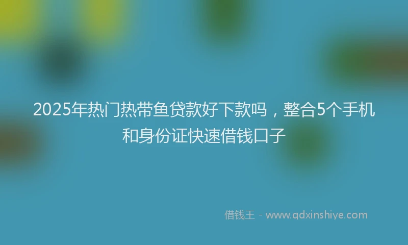2025年热门热带鱼贷款好下款吗，整合5个手机和身份证快速借钱口子