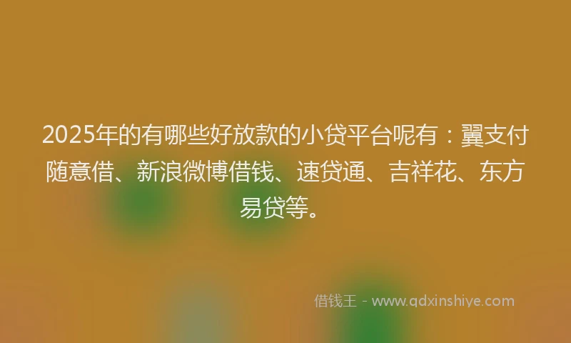 2025年的有哪些好放款的小贷平台呢有：翼支付随意借、新浪微博借钱、速贷通、吉祥花、东方易贷等。