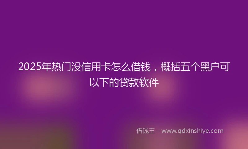 2025年热门没信用卡怎么借钱，概括五个黑户可以下的贷款软件