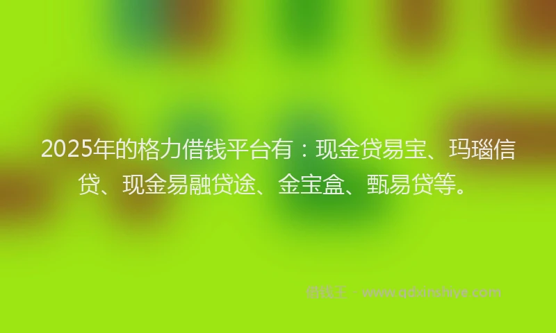 2025年的格力借钱平台有：现金贷易宝、玛瑙信贷、现金易融贷途、金宝盒、甄易贷等。