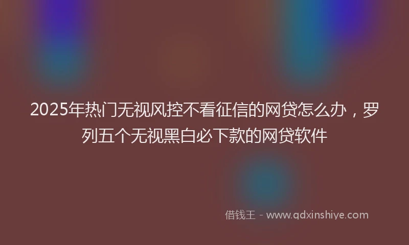 2025年热门无视风控不看征信的网贷怎么办，罗列五个无视黑白必下款的网贷软件