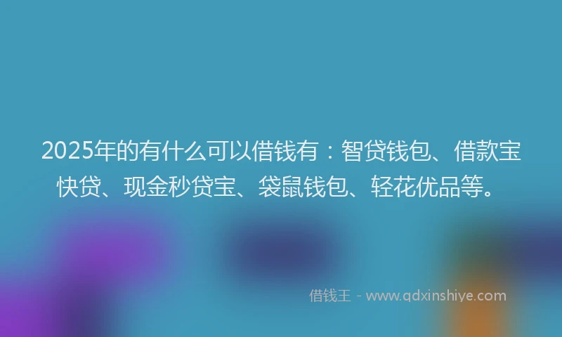 2025年的有什么可以借钱有：智贷钱包、借款宝快贷、现金秒贷宝、袋鼠钱包、轻花优品等。