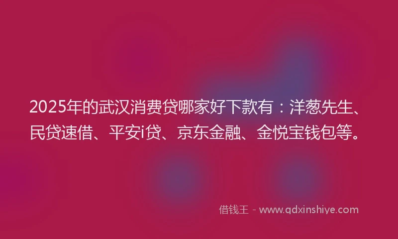 2025年的武汉消费贷哪家好下款有：洋葱先生、民贷速借、平安i贷、京东金融、金悦宝钱包等。