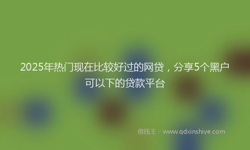 2025年热门现在比较好过的网贷，分享5个黑户可以下的贷款平台