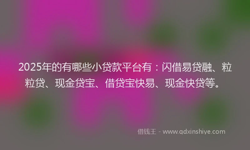 2025年的有哪些小贷款平台有：闪借易贷融、粒粒贷、现金贷宝、借贷宝快易、现金快贷等。