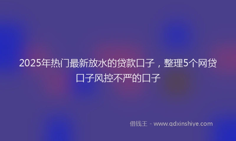 2025年热门最新放水的贷款口子，整理5个网贷口子风控不严的口子