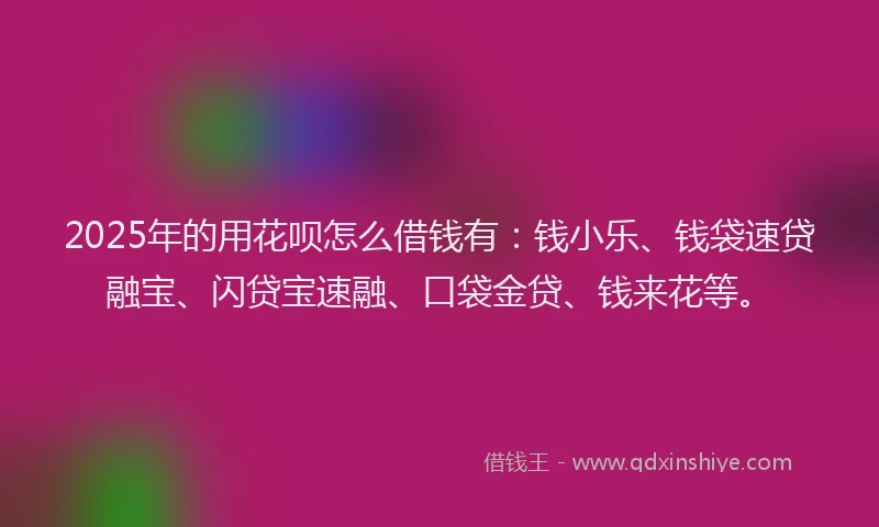 2025年的用花呗怎么借钱有：钱小乐、钱袋速贷融宝、闪贷宝速融、口袋金贷、钱来花等。