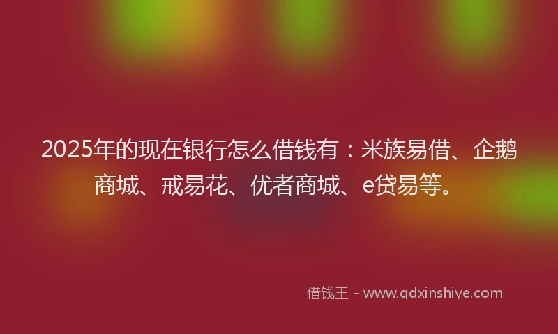 2025年的现在银行怎么借钱有：米族易借、企鹅商城、戒易花、优者商城、e贷易等。