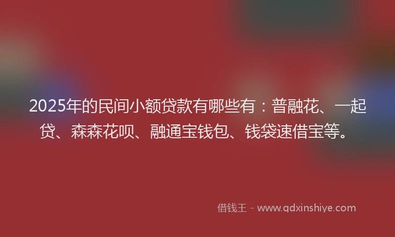 2025年的民间小额贷款有哪些有：普融花、一起贷、森森花呗、融通宝钱包、钱袋速借宝等。