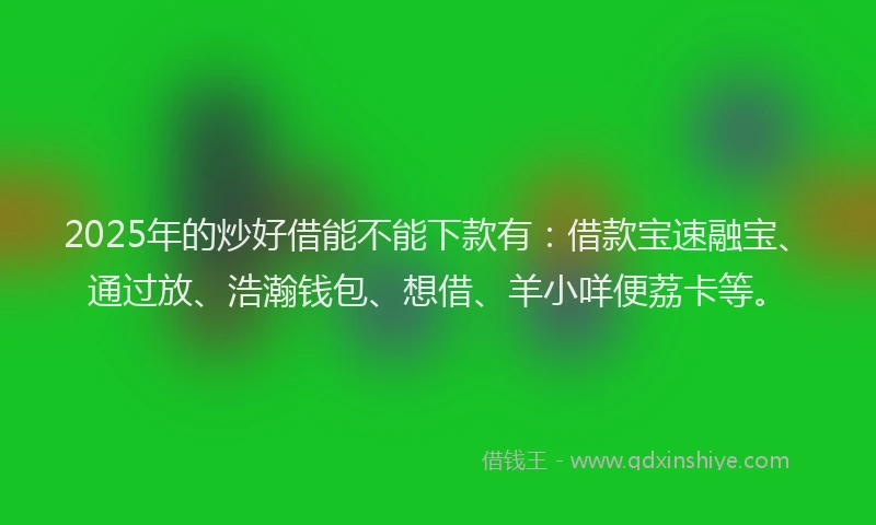 2025年的炒好借能不能下款有：借款宝速融宝、通过放、浩瀚钱包、想借、羊小咩便荔卡等。