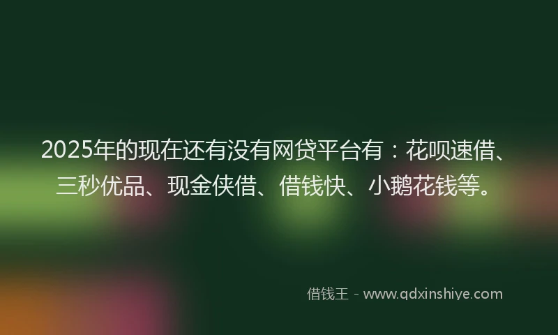 2025年的现在还有没有网贷平台有：花呗速借、三秒优品、现金侠借、借钱快、小鹅花钱等。