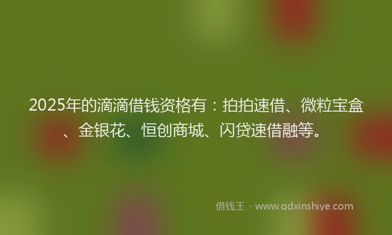 2025年的滴滴借钱资格有：拍拍速借、微粒宝盒、金银花、恒创商城、闪贷速借融等。