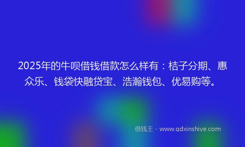 2025年的牛呗借钱借款怎么样有：桔子分期、惠众乐、钱袋快融贷宝、浩瀚钱包、优易购等。