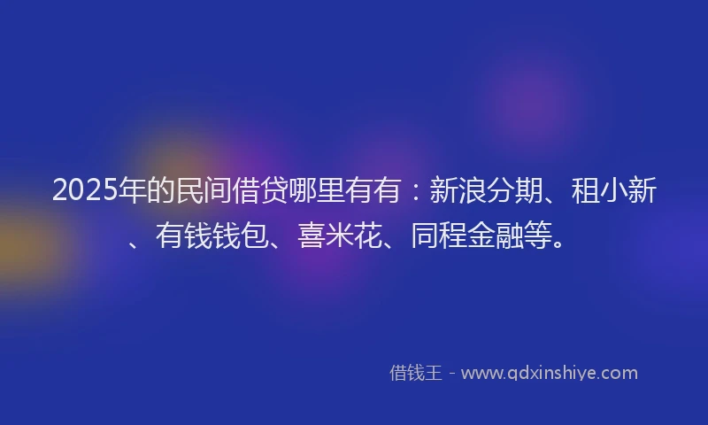 2025年的民间借贷哪里有有：新浪分期、租小新、有钱钱包、喜米花、同程金融等。