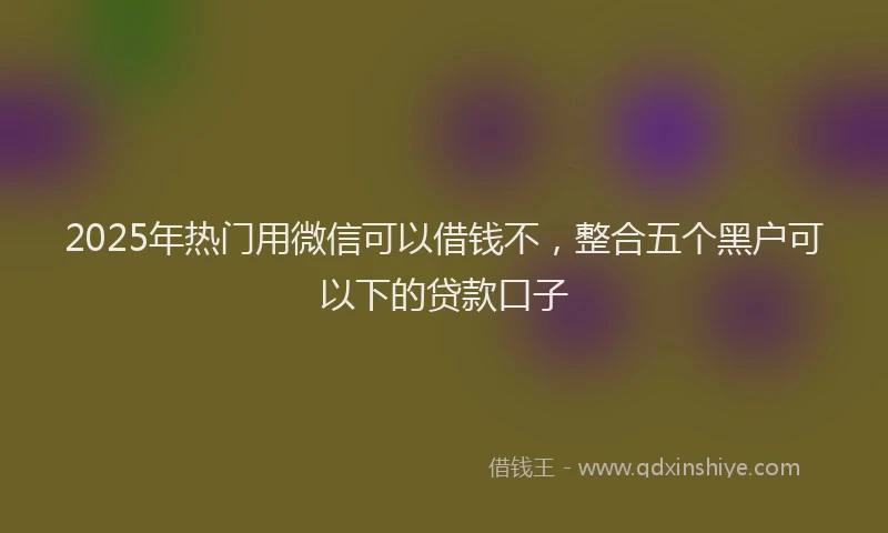 2025年热门用微信可以借钱不，整合五个黑户可以下的贷款口子