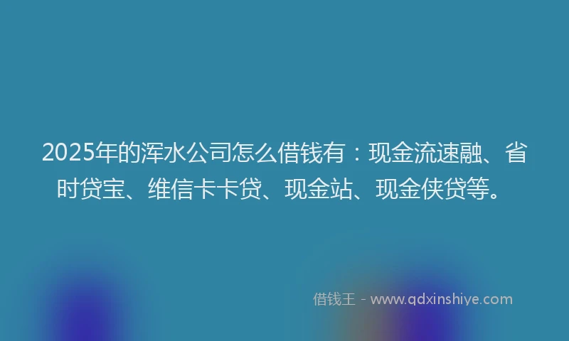 2025年的浑水公司怎么借钱有：现金流速融、省时贷宝、维信卡卡贷、现金站、现金侠贷等。