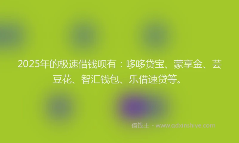 2025年的极速借钱呗有：哆哆贷宝、蒙享金、芸豆花、智汇钱包、乐借速贷等。