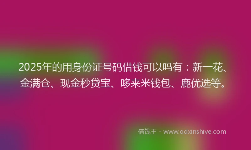 2025年的用身份证号码借钱可以吗有：新一花、金满仓、现金秒贷宝、哆来米钱包、鹿优选等。