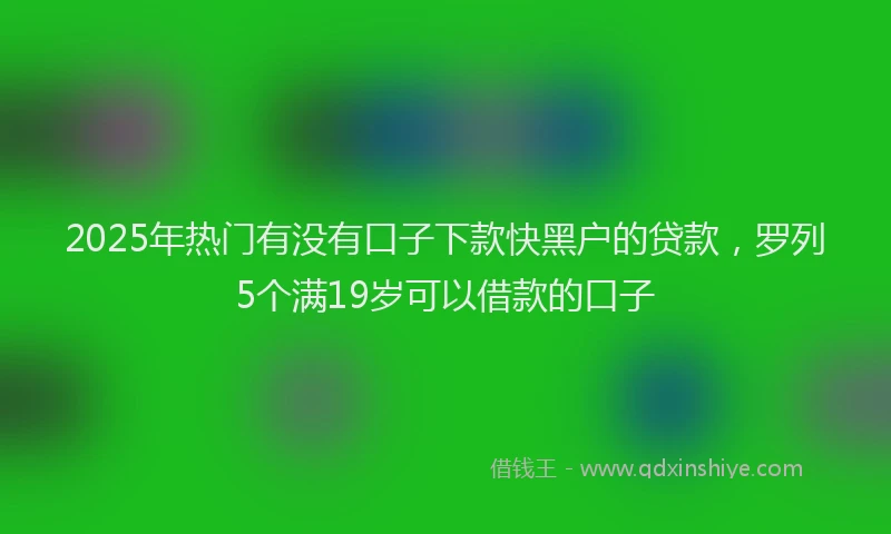 2025年热门有没有口子下款快黑户的贷款，罗列5个满19岁可以借款的口子