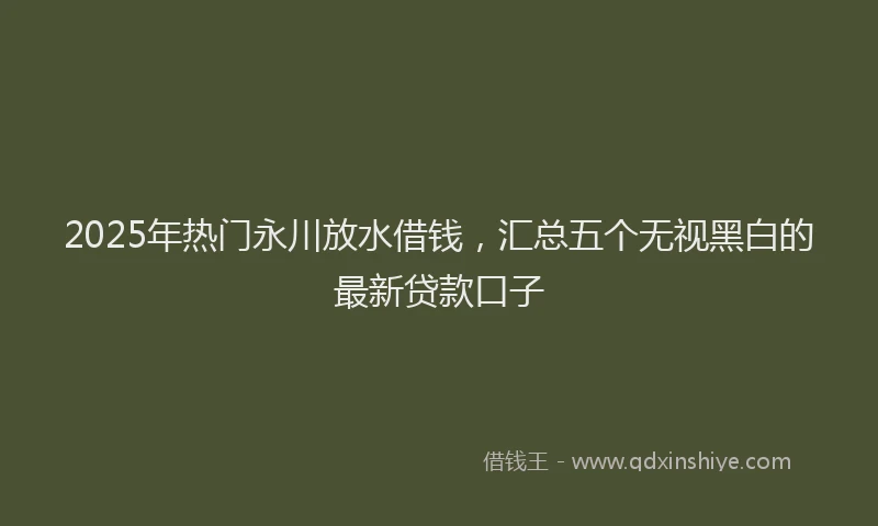 2025年热门永川放水借钱，汇总五个无视黑白的最新贷款口子