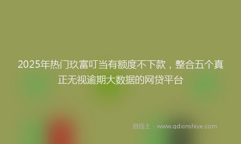 2025年热门玖富叮当有额度不下款，整合五个真正无视逾期大数据的网贷平台