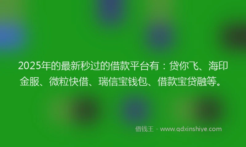 2025年的最新秒过的借款平台有：贷你飞、海印金服、微粒快借、瑞信宝钱包、借款宝贷融等。