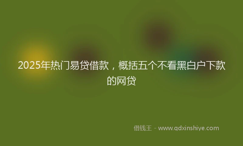 2025年热门易贷借款，概括五个不看黑白户下款的网贷