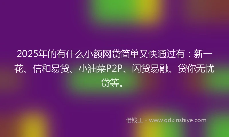 2025年的有什么小额网贷简单又快通过有：新一花、信和易贷、小油菜P2P、闪贷易融、贷你无忧贷等。