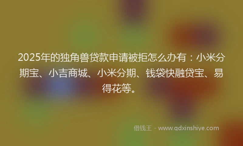 2025年的独角兽贷款申请被拒怎么办有：小米分期宝、小吉商城、小米分期、钱袋快融贷宝、易得花等。