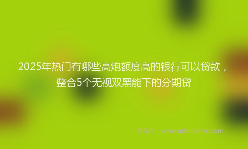 2025年热门有哪些高炮额度高的银行可以贷款，整合5个无视双黑能下的分期贷