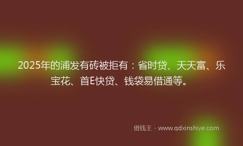 2025年的浦发有砖被拒有：省时贷、天天富、乐宝花、首E快贷、钱袋易借通等。