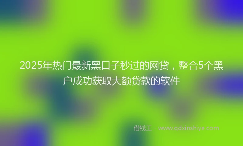 2025年热门最新黑口子秒过的网贷，整合5个黑户成功获取大额贷款的软件