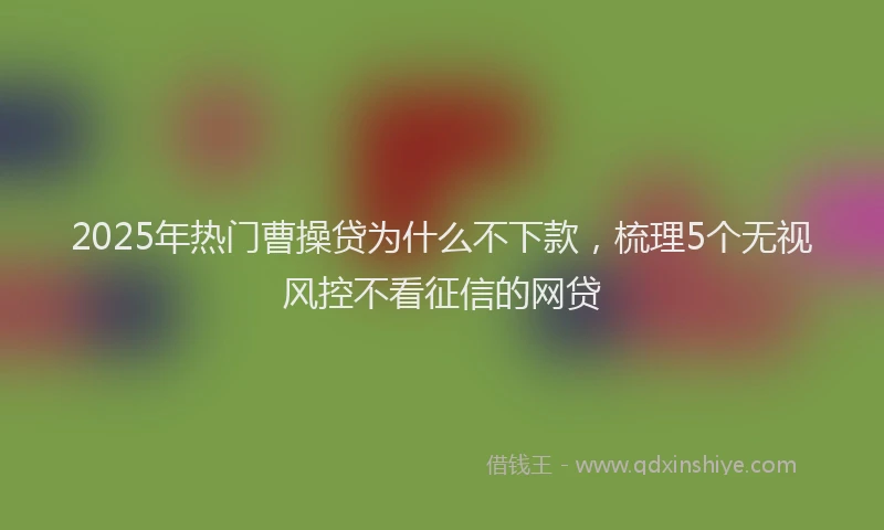 2025年热门曹操贷为什么不下款，梳理5个无视风控不看征信的网贷