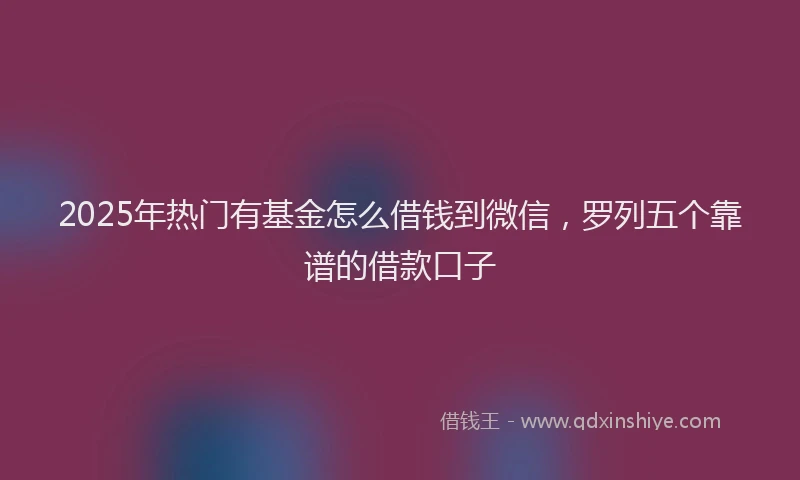 2025年热门有基金怎么借钱到微信，罗列五个靠谱的借款口子