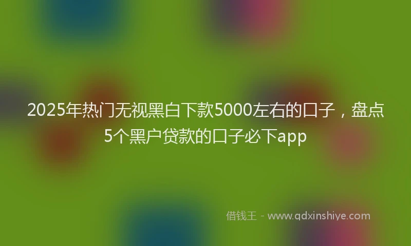 2025年热门无视黑白下款5000左右的口子，盘点5个黑户贷款的口子必下app