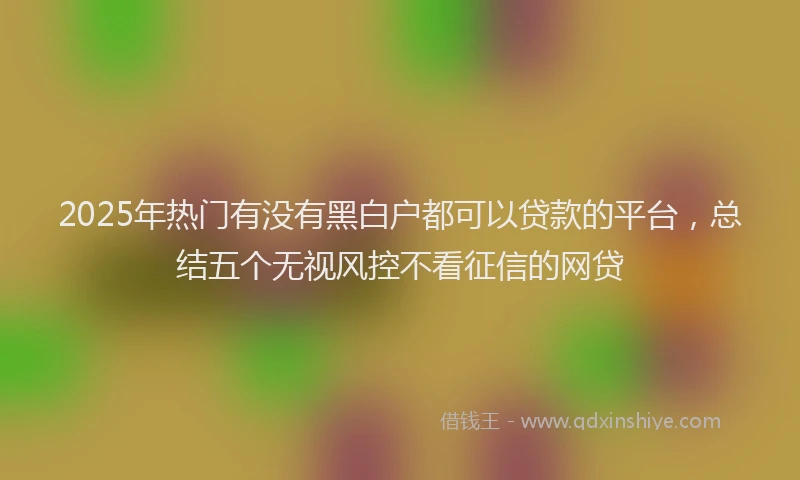 2025年热门有没有黑白户都可以贷款的平台，总结五个无视风控不看征信的网贷