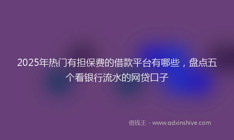 2025年热门有担保费的借款平台有哪些，盘点五个看银行流水的网贷口子