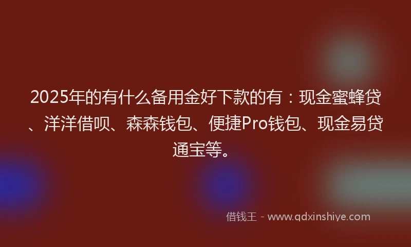 2025年的有什么备用金好下款的有：现金蜜蜂贷、洋洋借呗、森森钱包、便捷Pro钱包、现金易贷通宝等。