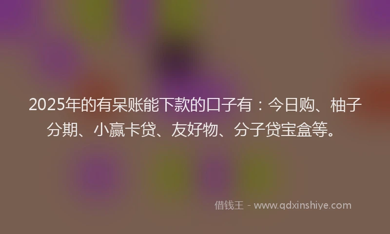 2025年的有呆账能下款的口子有：今日购、柚子分期、小赢卡贷、友好物、分子贷宝盒等。