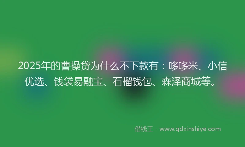 2025年的曹操贷为什么不下款有：哆哆米、小信优选、钱袋易融宝、石榴钱包、森泽商城等。